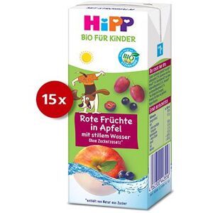 HiPP BIO jemné jablko a ovocie s neperlivou pramenitou vodou 15× 200 ml, 12m+