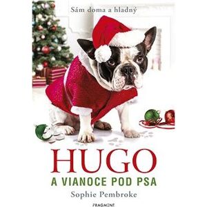 Hugo a Vianoce pod psa