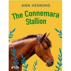 The Connemara Stallion