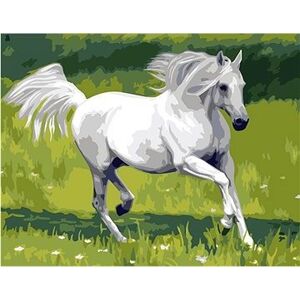 Gaira Biely kôň M1285