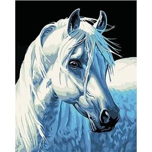 Gaira Biely kôň M1387