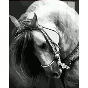Gaira Biely kôň M1944
