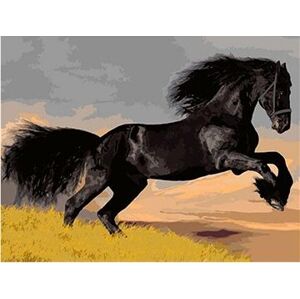 Gaira Čierny kôň M1498
