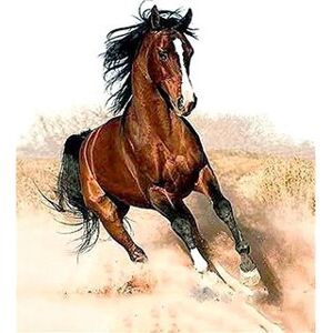 Gaira Cválajúci kôň M1182