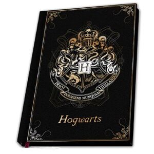 Harry Potter – Hogwarts – premium zápisník