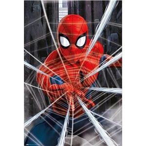 Marvel – Spiderman – Web – plagát