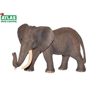 Atlas Slon africký