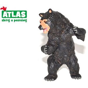 Atlas Medveď baribal