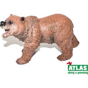 Atlas Medveď hnedý