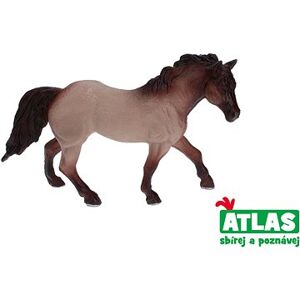 Atlas Kôň