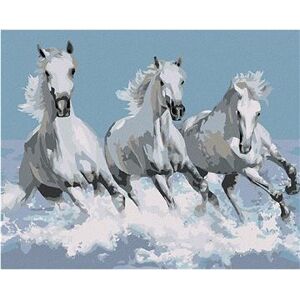 Maľovanie podľa čísiel – Biele kone