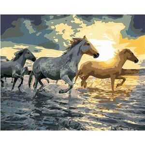 Maľovanie podľa čísiel – Kone vo vode