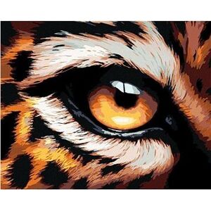 Maľovanie podľa čísel - Leopardie oko