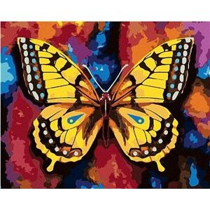 Maľovanie podľa čísel – Motýľ na farebnom pozadí