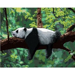 Maľovanie podľa čísel - Panda ležiaca na strome