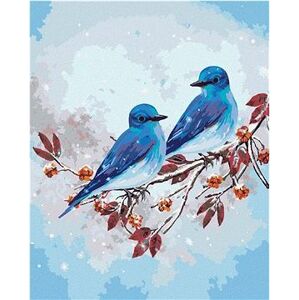 Maľovanie podľa čísel – Dva modré vtáčiky na konári