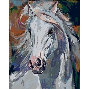 Maľovanie podľa čísiel – Biely kôň s vzdušnou hrivou