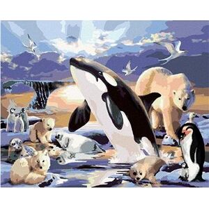 Maľovanie podľa čísel – Zvieratá v polárnom kráľovstve (Howard Robinson)