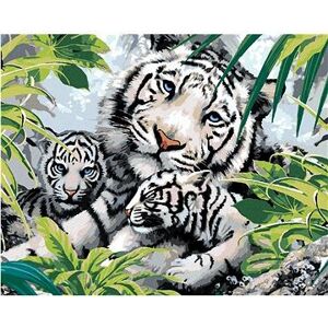 Maľovanie podľa čísel - Biely tiger a dve mláďatá (Howard Robinson)