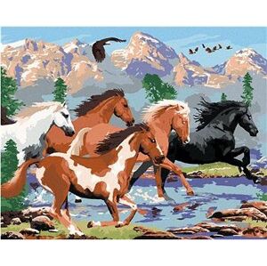 Maľovanie podľa čísel – Divoké kone v horách (Howard Robinson)