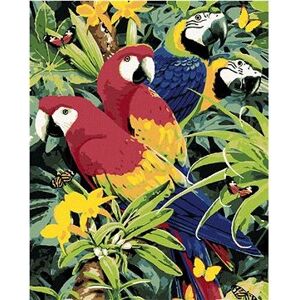 Maľovanie podľa čísel - Farebné papagáje (Howard Robinson)