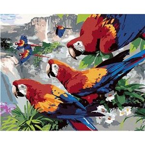Maľovanie podľa čísel - Papagáje na vetve nad vodopádom (Howard Robinson)