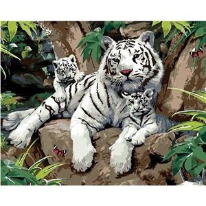 Maľovanie podľa čísel – Biely tiger s mláďatami na kameni (Howard Robinson)