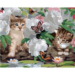 Maľovanie podľa čísel – Mačky, motýliky a biele pivonky (Howard Robinson)