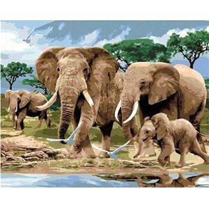 Maľovanie podľa čísel - Sloni na savane (Howard Robinson)