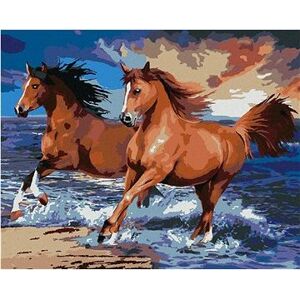 Maľovanie podľa čísel – Kone na piesočnatej pláži (Howard Robinson)