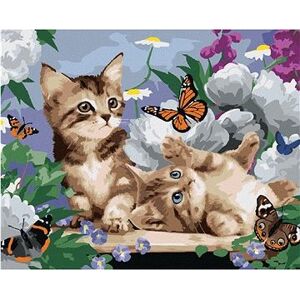 Maľovanie podľa čísel - Mačiatka, motýle a pivónie (Howard Robinson)