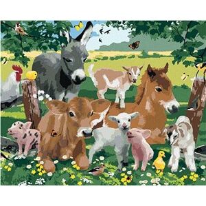 Maľovanie podľa čísel – Zvieratá na farme (Howard Robinson)