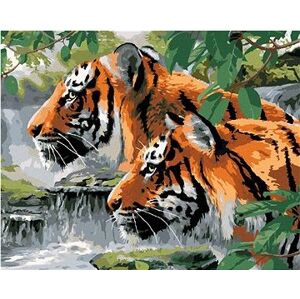Maľovanie podľa čísel – Striehnuce tigre pri rieke (Howard Robinson)