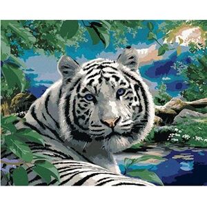 Maľovanie podľa čísel - Biely tiger a divoká príroda (Howard Robinson)