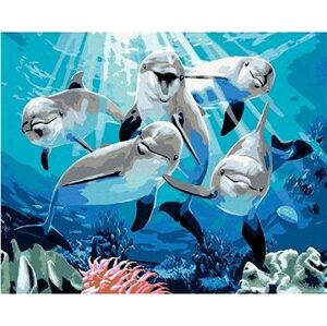 Maľovanie podľa čísel – Veselé delfíny (Howard Robinson)