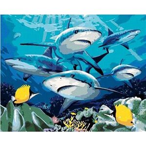 Maľovanie podľa čísel – Žraloky a koralový útes (Howard Robinson)