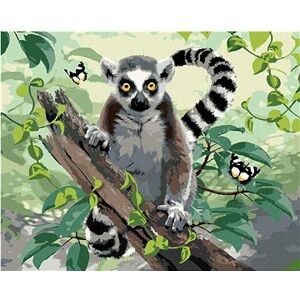 Maľovanie podľa čísel - Lemur a motýle (Howard Robinson)