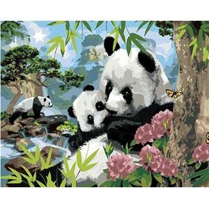 Maľovanie podľa čísel – Pandy a divoká príroda (Howard Robinson)