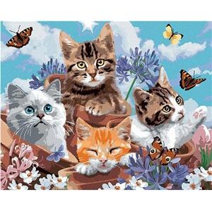 Maľovanie podľa čísel – Mačky v kvetináčoch a motýliky (Howard Robinson)