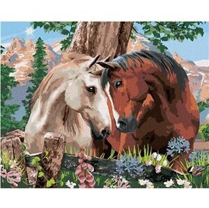 Maľovanie podľa čísel – Keď sa zamiluje kôň (Howard Robinson)