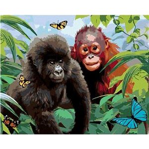 Maľovanie podľa čísel – Orangutan a malá gorila (Howard Robinson)