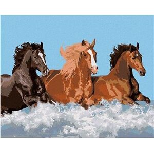 Maľovanie podľa čísel - Tri kone vo vode