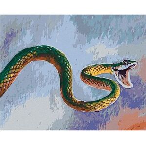 Maľovanie podľa čísel - Zelený had