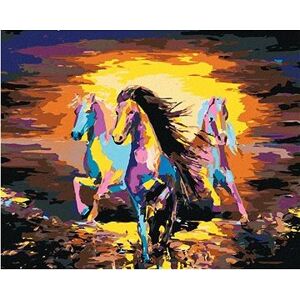 Maľovanie podľa čísel - Farebné stádo koní