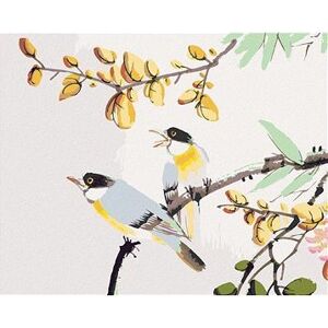 Maľovanie podľa čísel - Vtáci na strome Čína