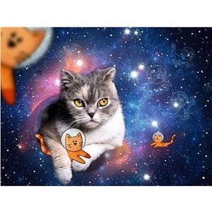 Mačka vo vesmíre 1500 dielikov
