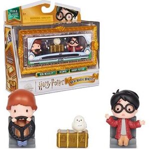 Harry Potter dvojbalenie mini figúrok Harry a Ron s doplnkami
