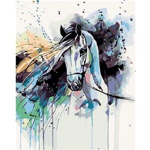 Maľovanie podľa čísel – Abstraktný kôň čierny