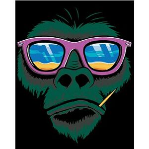 Maľovanie podľa čísel – Opica a slnečné okuliare