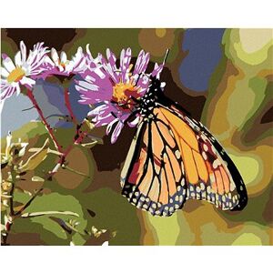 Maľovanie podľa čísel – Motýľ a kvitnúce kvety